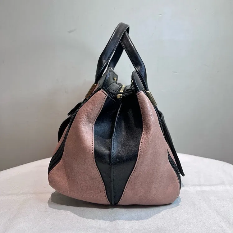 Chloe Calfskin Black Pink Handbag Medium Size