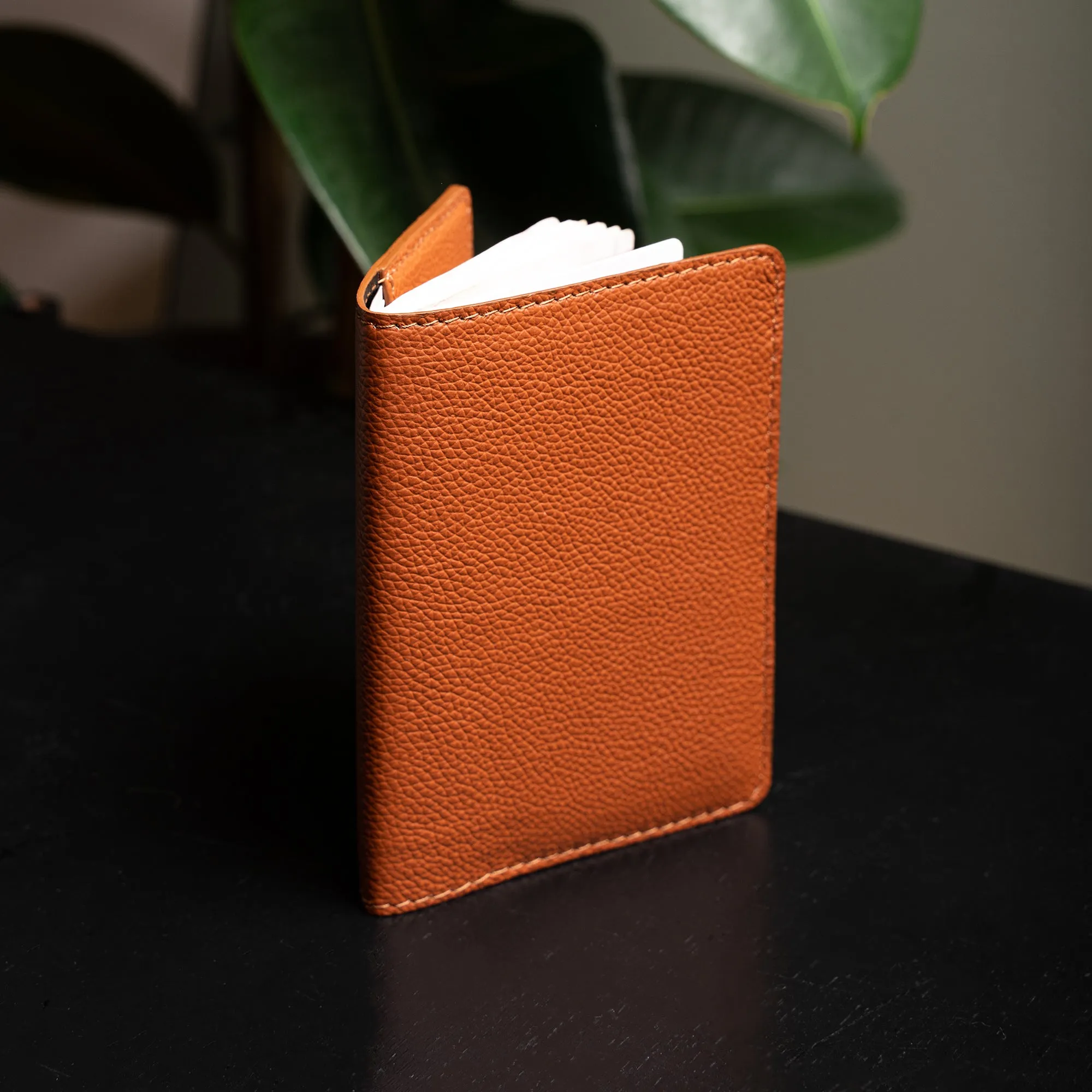 Passport Wallet (Brown)